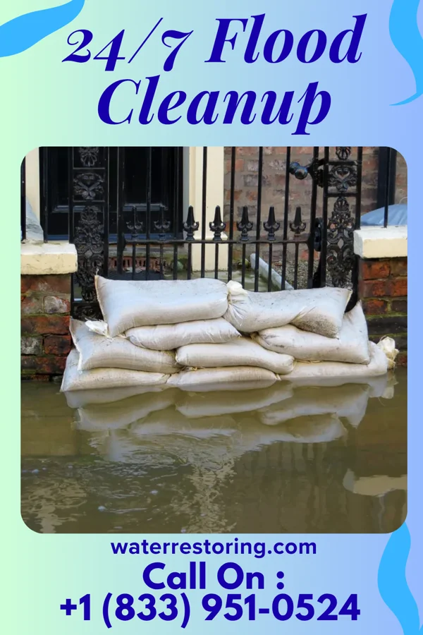 24/7 Flood Cleanup in Newburg, ND